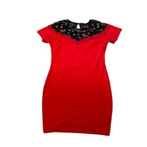 Vintage 90’s cocktail dress with rose embroidered mesh